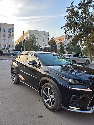 хайландер 2019 гибрид: Lexus NX: 2019 г., 2 л, Автомат, Гибрид, Кроссовер — 7