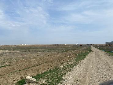fermaya: FERMA satılır Pirəkəşkül qəsəbəsində MAL,QOYUN,QUŞ FERMALARI MAL VƏ — 4