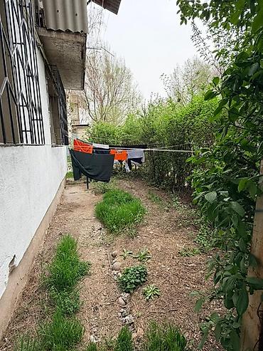 Продажа комнат: Продается 2-комнатная квартира 1 этаж, всего 2 этажа. 43кв.м at lalafo.kg — 15 Продажа комнат: Продается 2-комнатная квартира 1 этаж, всего 2 этажа. 43кв.м — 15