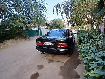 ecoflow delta 3: Mercedes-Benz E-Class: 1998 г., 4.3 л, Автомат, Бензин, Седан — 3