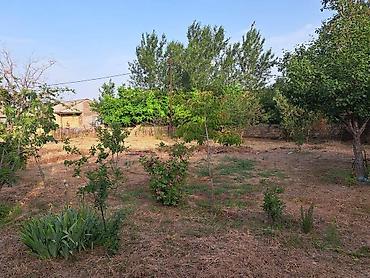 bağça satılır: 3 sot, Mülkiyyətçi, Kupça (Çıxarış) — 4