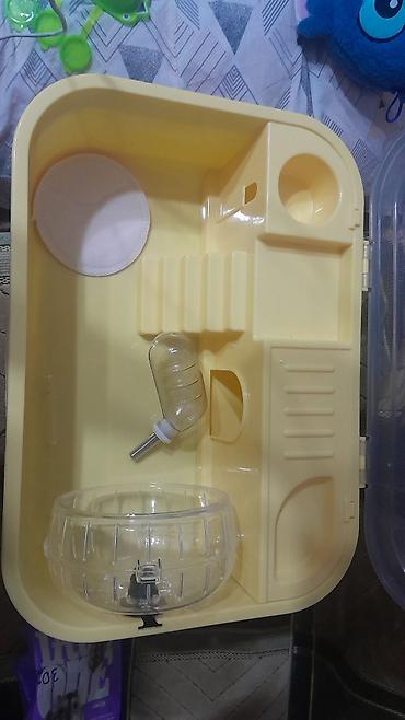 heyvan sikisi: Xırda gəmiricilər üçün plastik qəfəs dəsti - Şəffaf qapaqlı, sarı — 4
