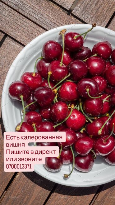 офисное кресло бу бишкек: Продаю калерованную вишню Доставка на такси или самовывоз! Звонить