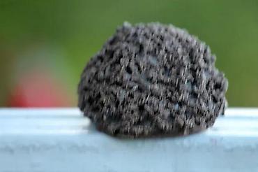 Figure: JEŽ vintage umetnička keramika. Umetnička keramika. Dimenzije cca: 8 x — 9