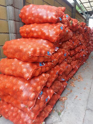 китайские продукты: Пияз сатылат кг 8 сом! 5 тонна бар переборка болгон!