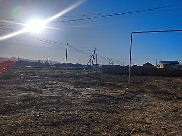 6 sot, Tikinti, Mülkiyyətçi, Kupça (Çıxarış) — 2