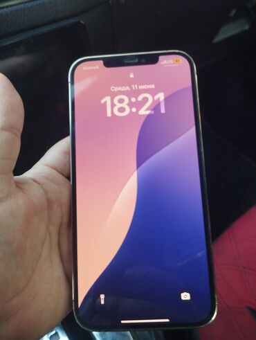 Apple iPhone: IPhone 12 Pro Max, 16 GB, Matte Gold, Face ID