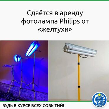 philips xenium раскладушка in Кыргызстан | УТЮГИ: Сдаётся в аренду фотолампа Philips от «желтухи» Понижение уровня