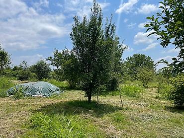 sirvan evler: 80 sot, Tikinti, Mülkiyyətçi, Kupça (Çıxarış) — 1