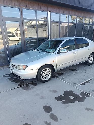Nissan Primera: 2000 г., 1.8 л, Механика, Бензин, Седан