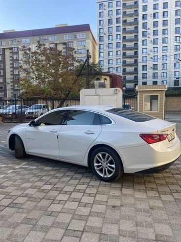 купить зикр в бишкеке: Chevrolet Malibu: 2018 г., Седан