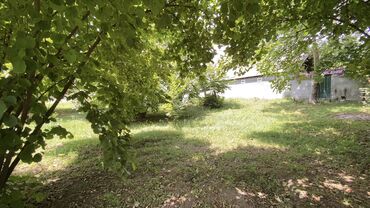 Torpaq sahələrinin satışı: Tikinti — 8