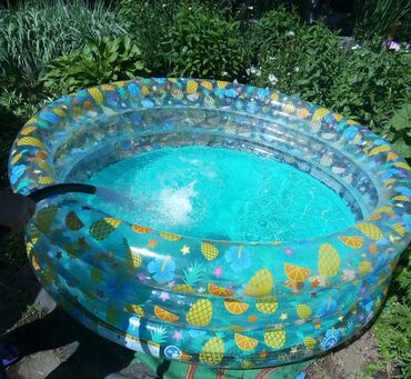 купить бассейны в бишкеке: Бесплатная доставка доставка по городу бесплатная Надувной бассейн