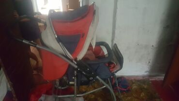 коляски stokke: Коляска, цвет - Фиолетовый