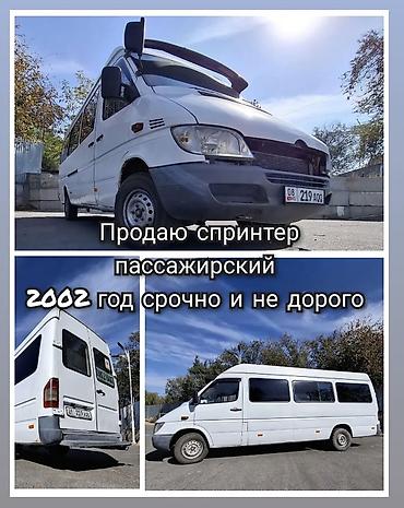 sprinter 4 4: Mercedes-Benz Спринтер: 2002 г., Бус — 1