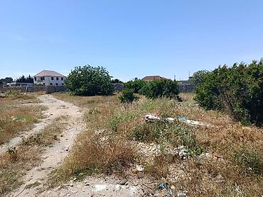 Torpaq: 19 sot, Tikinti, Mülkiyyətçi, Kupça (Çıxarış) — 4