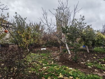 Torpaq sahələrinin satışı: 4 sot, Mülkiyyətçi — 3