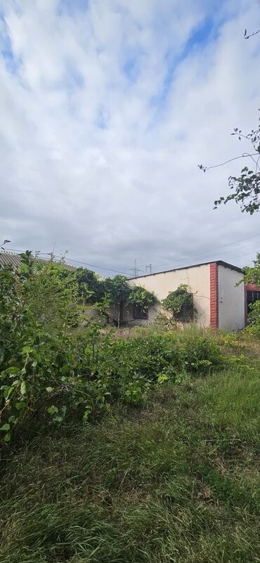 Torpaq sahələrinin satışı: 48 sot, Kənd təsərrüfatı, Kupça (Çıxarış) — 27