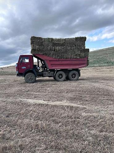 cücə yemi: Evvala salam kamaz satilir isdeyen elaqe saxlasin — 2