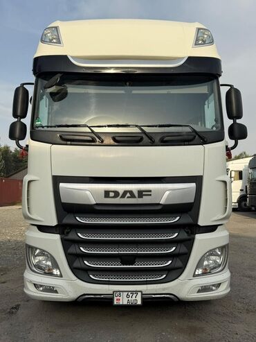 Тягачи: Тягач, DAF, 2019 г., Рефрижератор