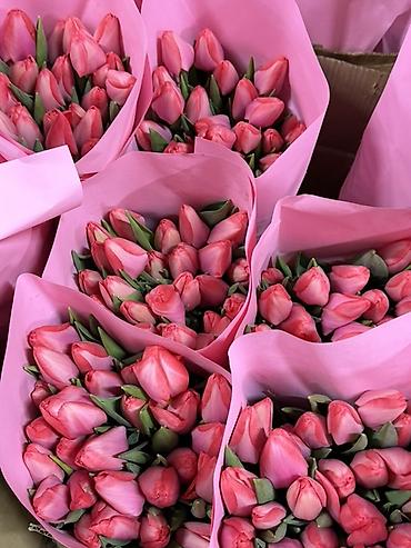 Букеты из живых цветов: Тюльпаны на 8 марта Принимаю корпоративные заказы с оформлением 16 — 7