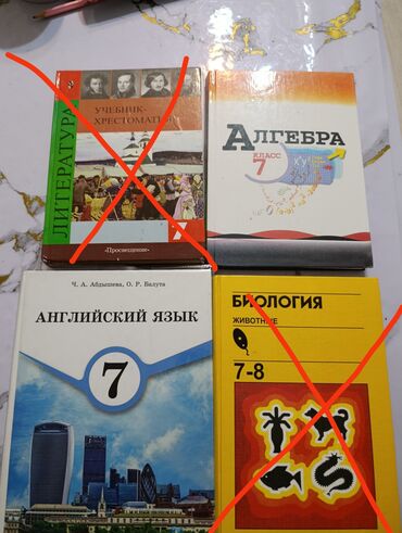купить школьную доску для начальных классов: - Английский язык
- Алгебра 
- Литература
- Биология