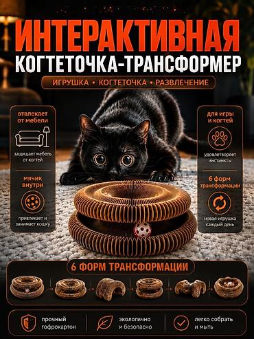 технолог конструктор: Дизайнер, менеджер Вайлдберриз дизайн карточек товаров, логотипов — 8