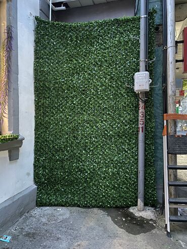 hasar setkaları: 🌿 Məxfiliyinizə Yaşıl Toxunuş! 🏡 🎋 Yaşıl Hasar – Estetik, davamlı və