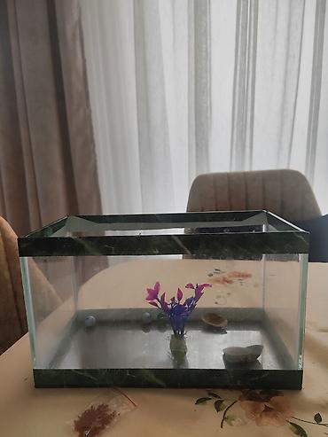 akvarim: Akvaryum dəsti - Material: şüşə korpus, yaşıl mərmər naxışlı çərçivə — 2