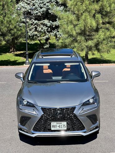 Lexus: Lexus NX: 2019 г., 2 л, Автомат, Бензин, Кроссовер