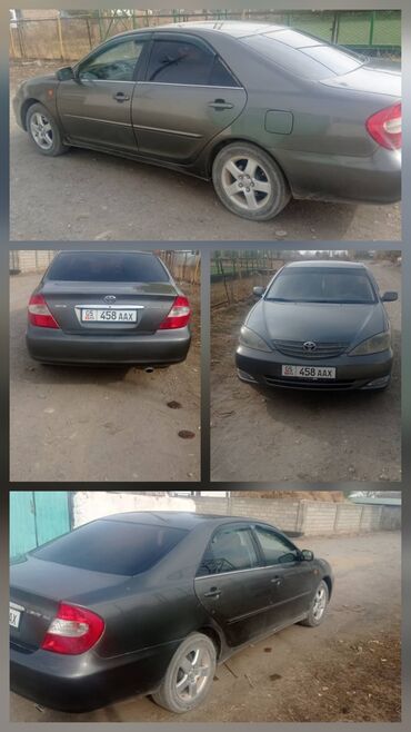 подсветка на машину: Toyota Camry: 2003 г., 2.4 л, Автомат, Газ, Седан