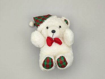 kombinezon zimowy miś: Mascot Teddy bear, condition - Good