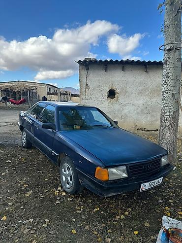 панель лексус: Audi 100: 1989 г., Седан — 3