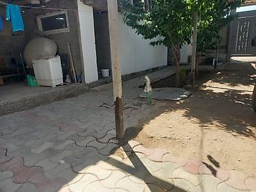 Продажа коттеджей и домов: Продаётся дом с участком. Описание: - Кирпичный дом с мансардным — 5