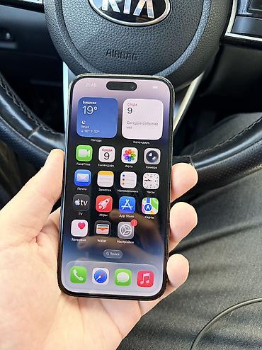 980 pro: IPhone 14 Pro, Б/у, 256 ГБ, Графит, Чехол, 81 % — 4