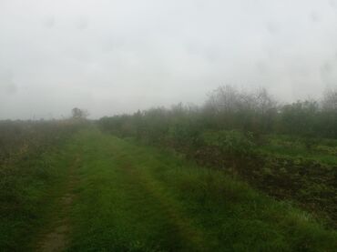 Torpaq sahələrinin satışı: 400 sot, Kənd təsərrüfatı, Maklerlər narahat etməsin — 23