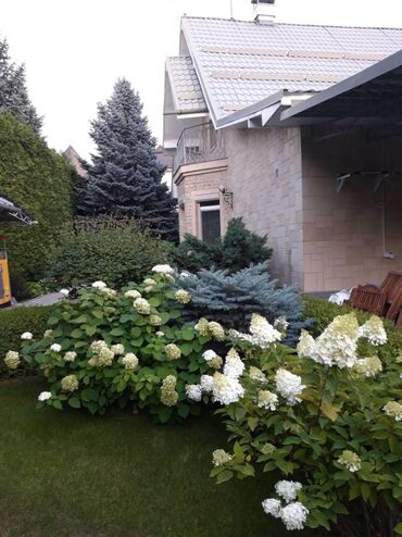 дом на продажу токмок: 250 м², 6 комнат, Бассейн