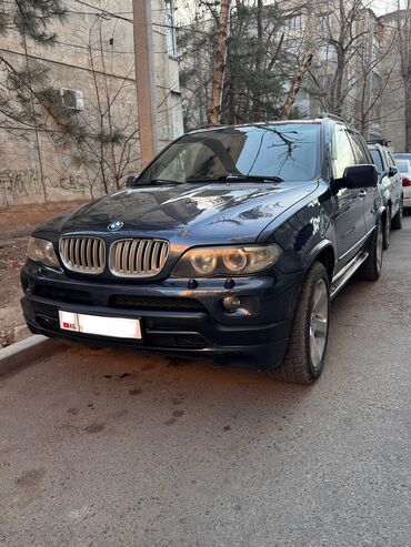 BMW: BMW X5: 2004 г., 4.4 л, Автомат, Бензин, Внедорожник — 11