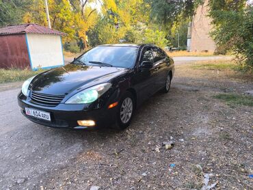 грузовой спринтер продаю: Lexus ES: 2004 г., 3.3 л, Автомат, Газ, Седан