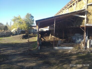 Сельхоз предприятия: Продаю Кошара, 50 соток, Действующий, Частично с оборудованием — 3
