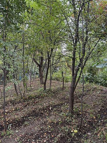 Продажа участков: 6 соток, Красная книга, Тех паспорт, Договор дарения at lalafo.kg — 3 Продажа участков: 6 соток, Красная книга, Тех паспорт, Договор дарения — 3