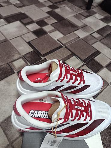 семейные одежды: Мужские кроссовки, 41, Adidas, Новый, цвет - Белый — 4