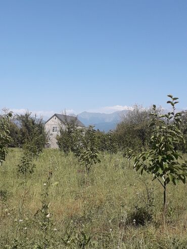 əhmədlidə torpaq: 113 sot, Kənd təsərrüfatı, Maklerlər narahat etməsin, Kupça (Çıxarış)