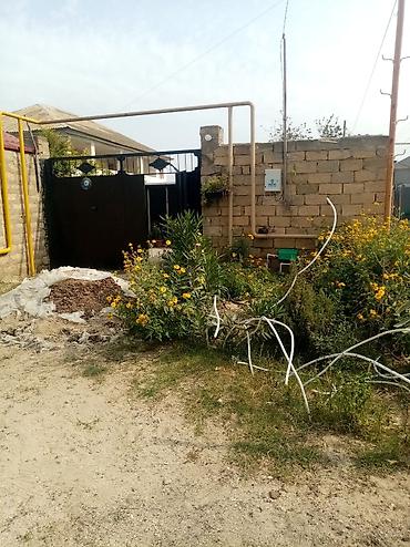 3 sot, Makler, Kupça (Çıxarış) lalafo.az -da 3 sot, Makler, Kupça (Çıxarış)