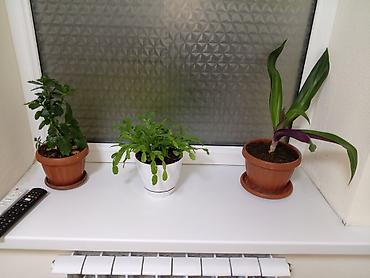 Посуточная аренда квартир: 3 комнаты, Интернет, Wi-Fi — 9