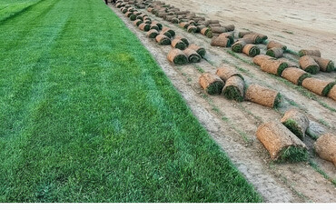 Landşaft işləri: : bağban axran işləri görürəm bütün növ ağcların gülərin əkilməsi — 1