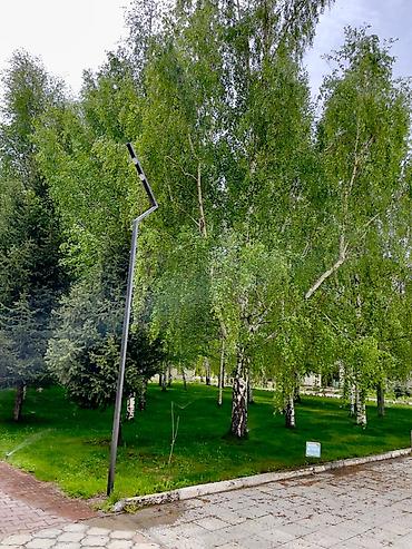 для сдачи: 2 комнаты, 32 м², Элитка, 3 этаж, Евроремонт — 6