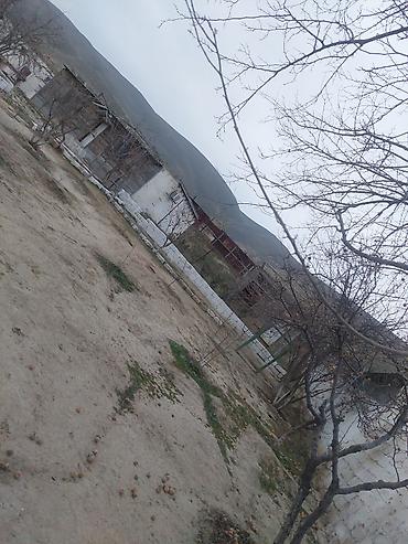 Bağ evlərinin satışı: Xırdalan, 12000 kv. m, 4 otaqlı, Hovuzsuz, Su — 13