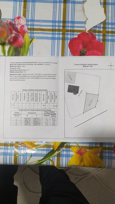 sumqayitda torpaq satisi: 3 sot, Tikinti, Mülkiyyətçi, Kupça (Çıxarış)