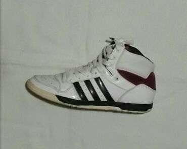 Patike: Adidas, 36